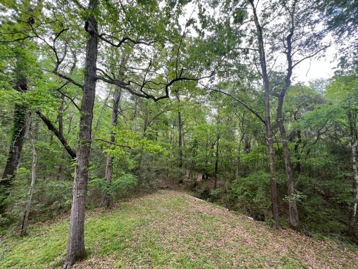 מונטגומרי 2 Bdrm Treehouse Hideout- Lake Conroe With Boat Ramp מראה חיצוני תמונה